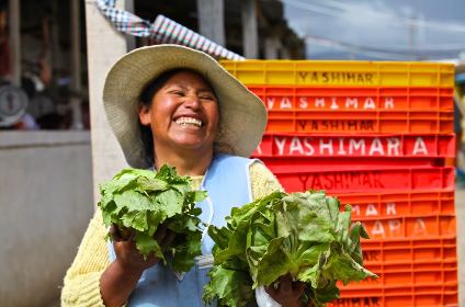 PARÁSITO PRODUCE GRAVES INFECCIONES EN 21 REGIONES DEL PERÚ