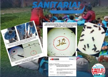 𝗔𝗟𝗘𝗥𝗧𝗔 𝗦𝗔𝗡𝗜𝗧𝗔𝗥𝗜𝗔: 𝗗𝗘𝗧𝗘𝗖𝗧𝗔𝗡 𝗔𝗟𝗜𝗠𝗘𝗡𝗧𝗢𝗦 𝗖𝗢𝗡𝗧𝗔𝗠𝗜𝗡𝗔𝗗𝗢𝗦 𝗗𝗘𝗦𝗧𝗜𝗡𝗔𝗗𝗢𝗦 𝗔 𝗡𝗜𝗡̃𝗢𝗦 𝗗𝗘 𝗖𝗨𝗡𝗔 𝗠𝗔́𝗦